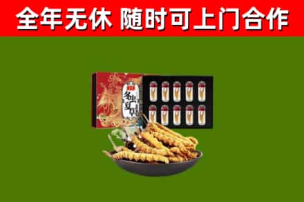 平舆县烟酒回收冬虫夏草礼盒.jpg
